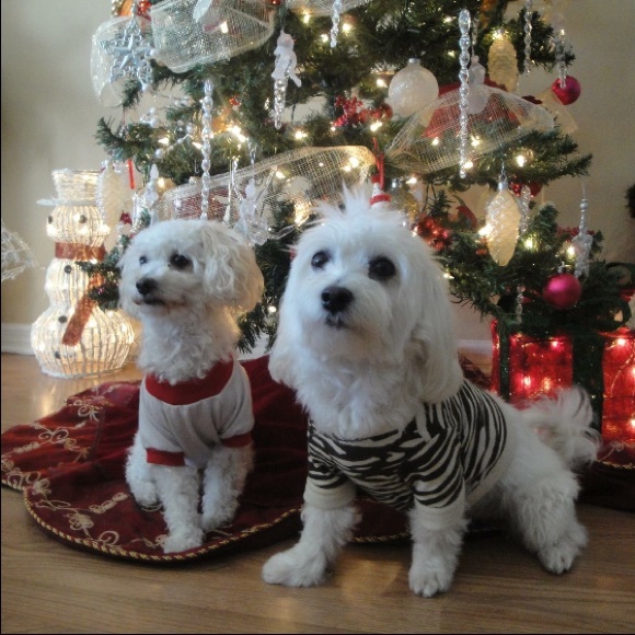 Meet your Posher, Sarra - Picture 2 of 5